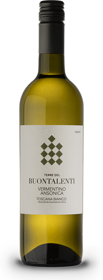 buontalenti vermentinoAnsonica